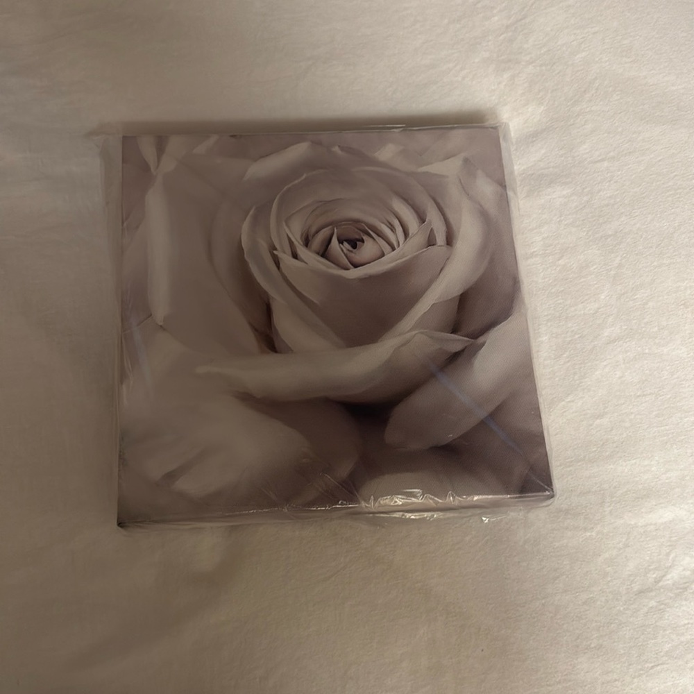 BRAND NEW UNOPENED FLORAL PRINT - width (10 inches) height (10 inches)
